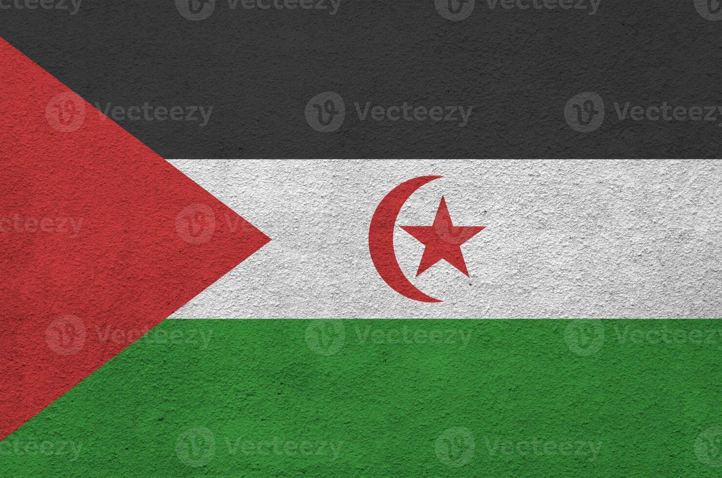 Western Sahara flag depicted in bright paint colors on old relief plastering wall. Textured banner on rough background photo