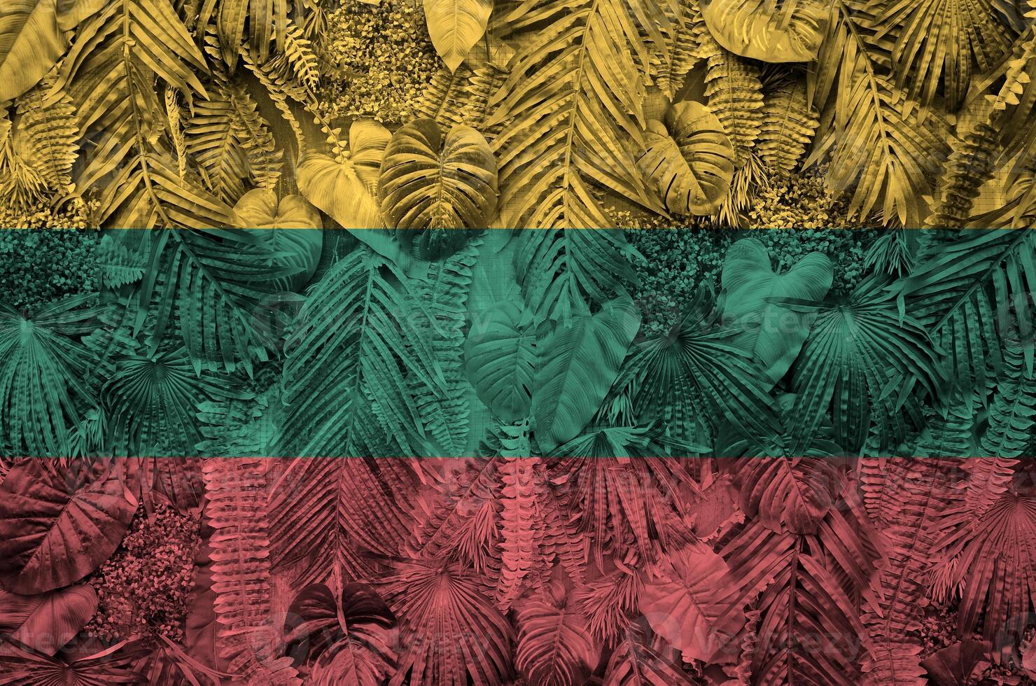 Lithuania flag depicted on many leafs of monstera palm trees. Trendy fashionable backdrop photo