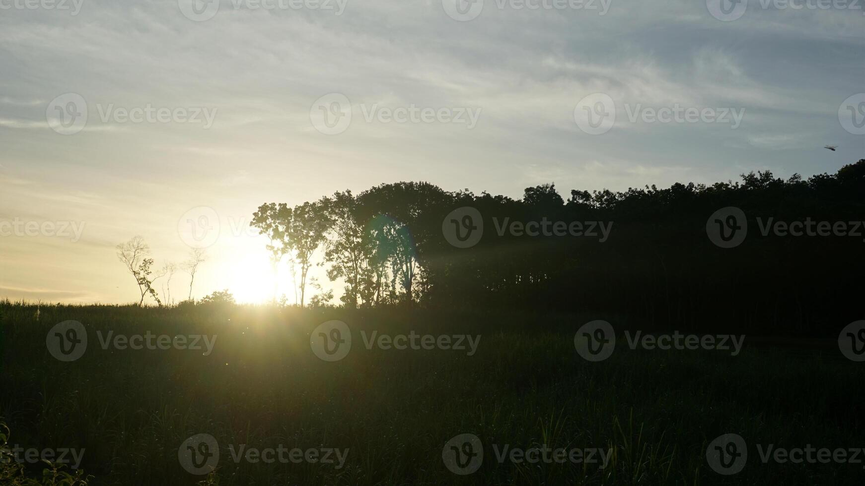 terraced rice fields in the mountains photo