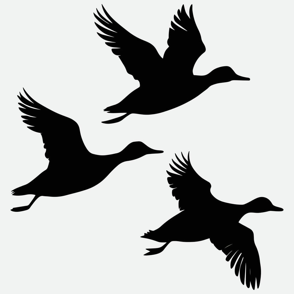 set of flying and landing wild ducks Silhouettes set vector