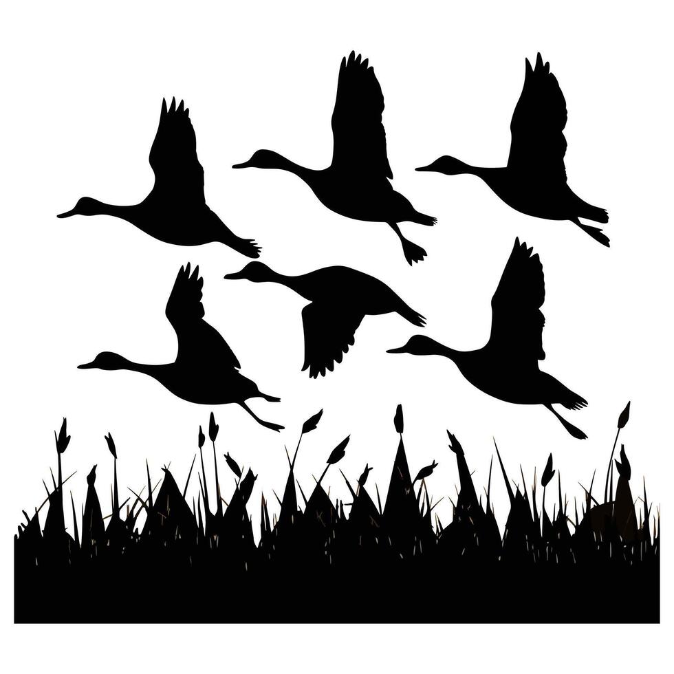 set of flying and landing wild ducks Silhouettes set vector