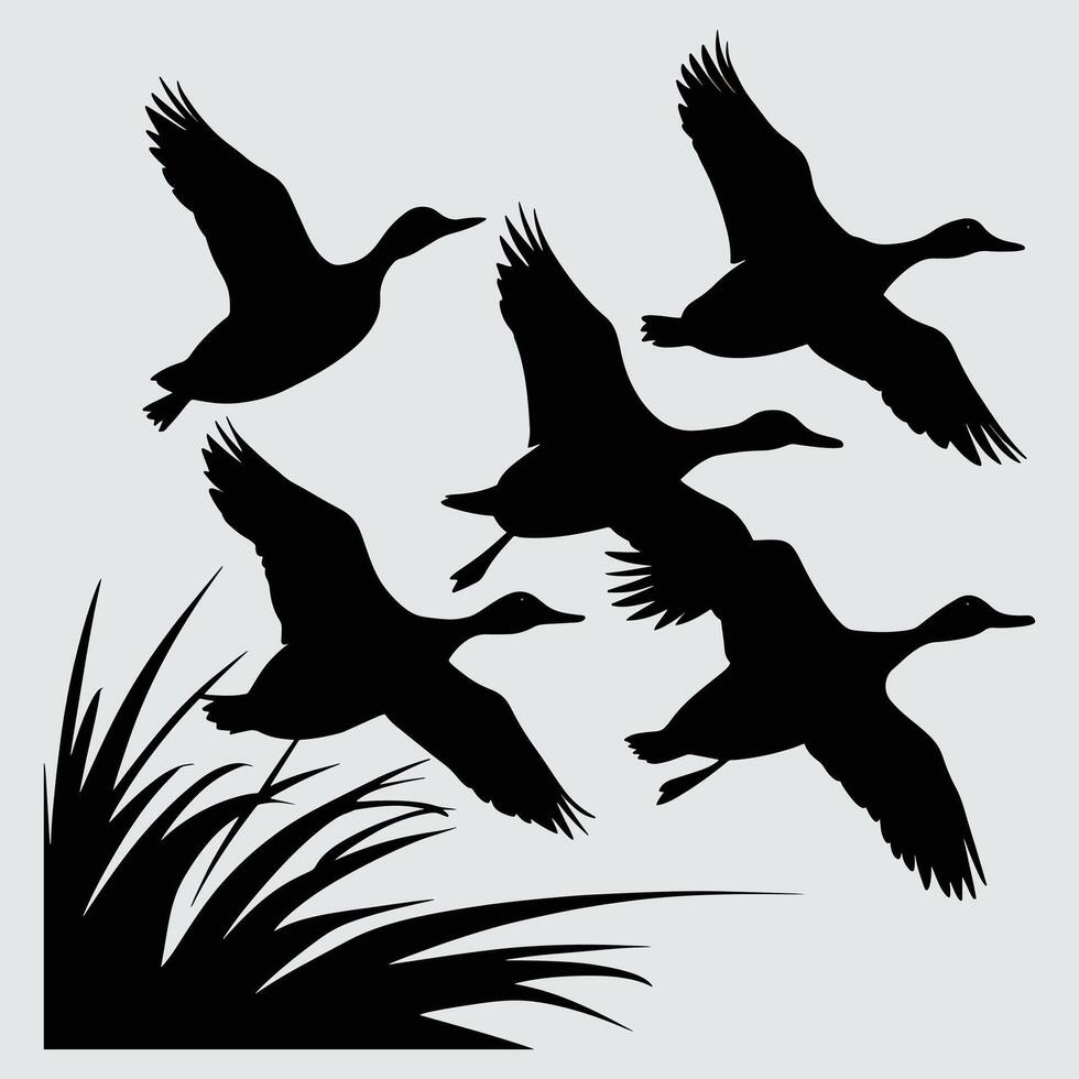 set of flying and landing wild ducks Silhouettes set vector