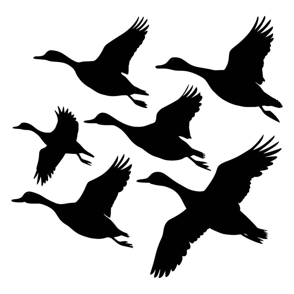 set of flying and landing wild ducks Silhouettes set vector