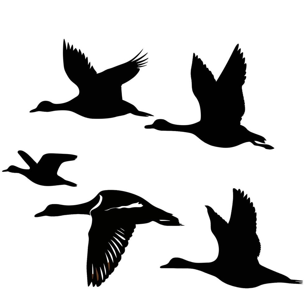 set of flying and landing wild ducks Silhouettes set vector