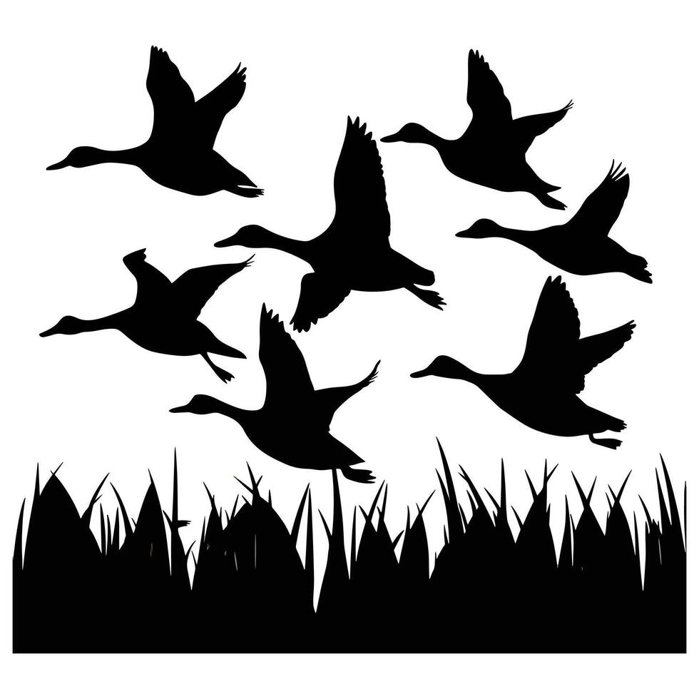 set of flying and landing wild ducks Silhouettes set vector