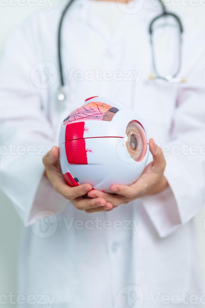Doctor with human Eye anatomy model with magnifying glass. Eye disease, Refractive Errors, Age Related Macular Degeneration, Cataract, Diabetic Retinopathy, Glaucoma, Amblyopia, Strabismus and Health photo