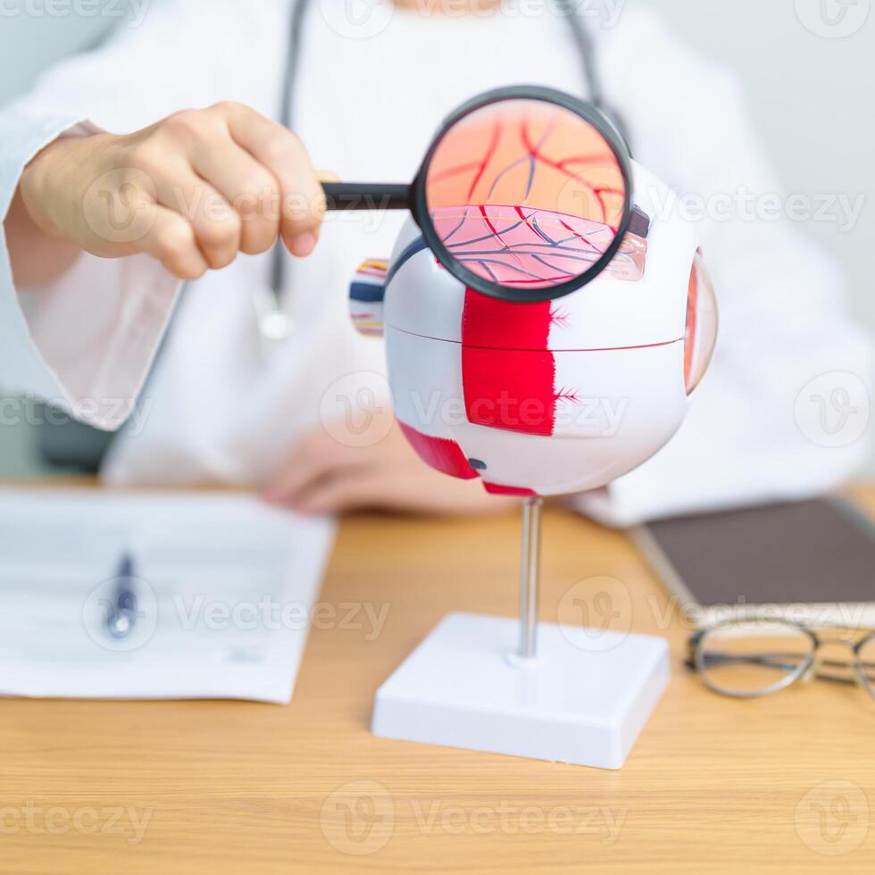 Doctor with human Eye anatomy model with magnifying glass. Eye disease, Refractive Errors, Age Related Macular Degeneration, Cataract, Diabetic Retinopathy, Glaucoma, Amblyopia, Strabismus and Health photo