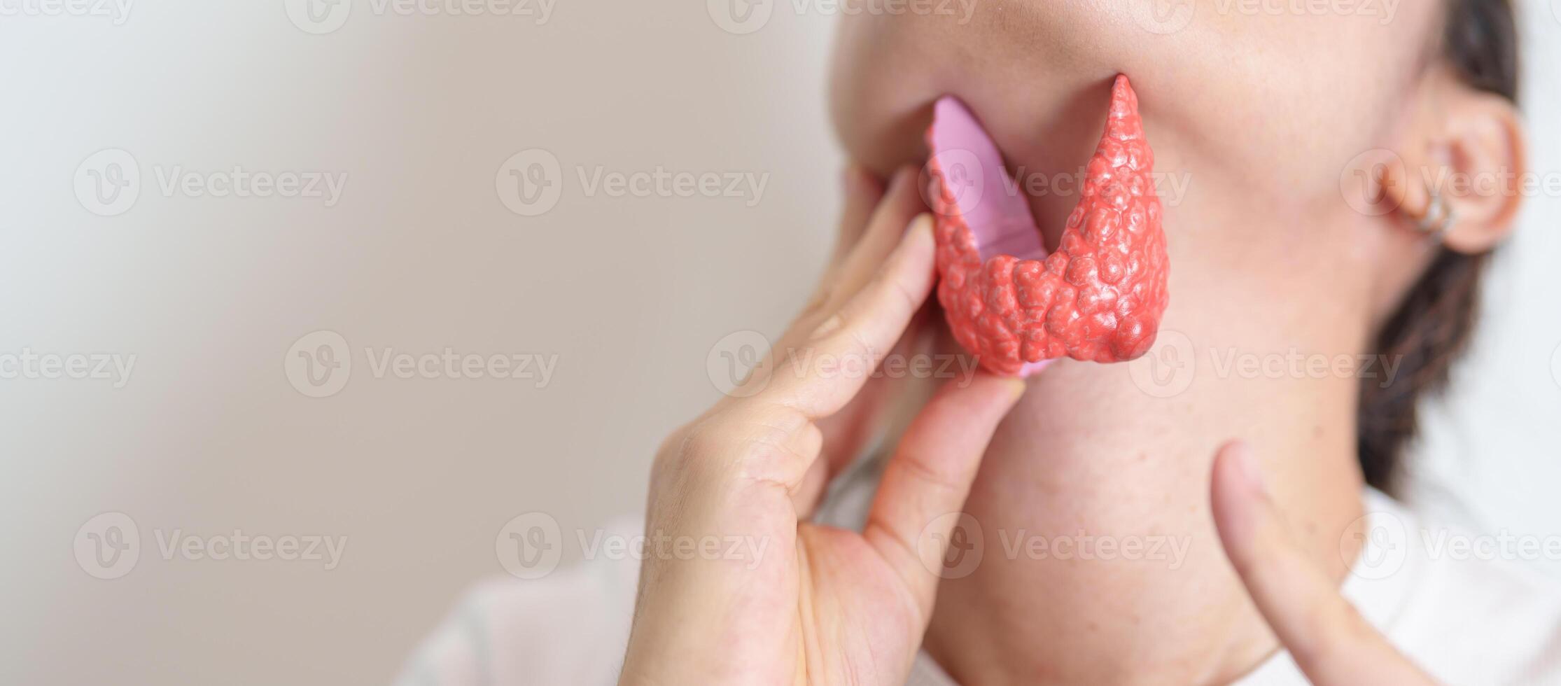 Woman holding human Thyroid anatomy model with her Neck. Hyperthyroidism, Hypothyroidism, Hashimoto Thyroiditis, Thyroid Tumor and Cancer, Postpartum, Papillary Carcinoma and Health concept photo