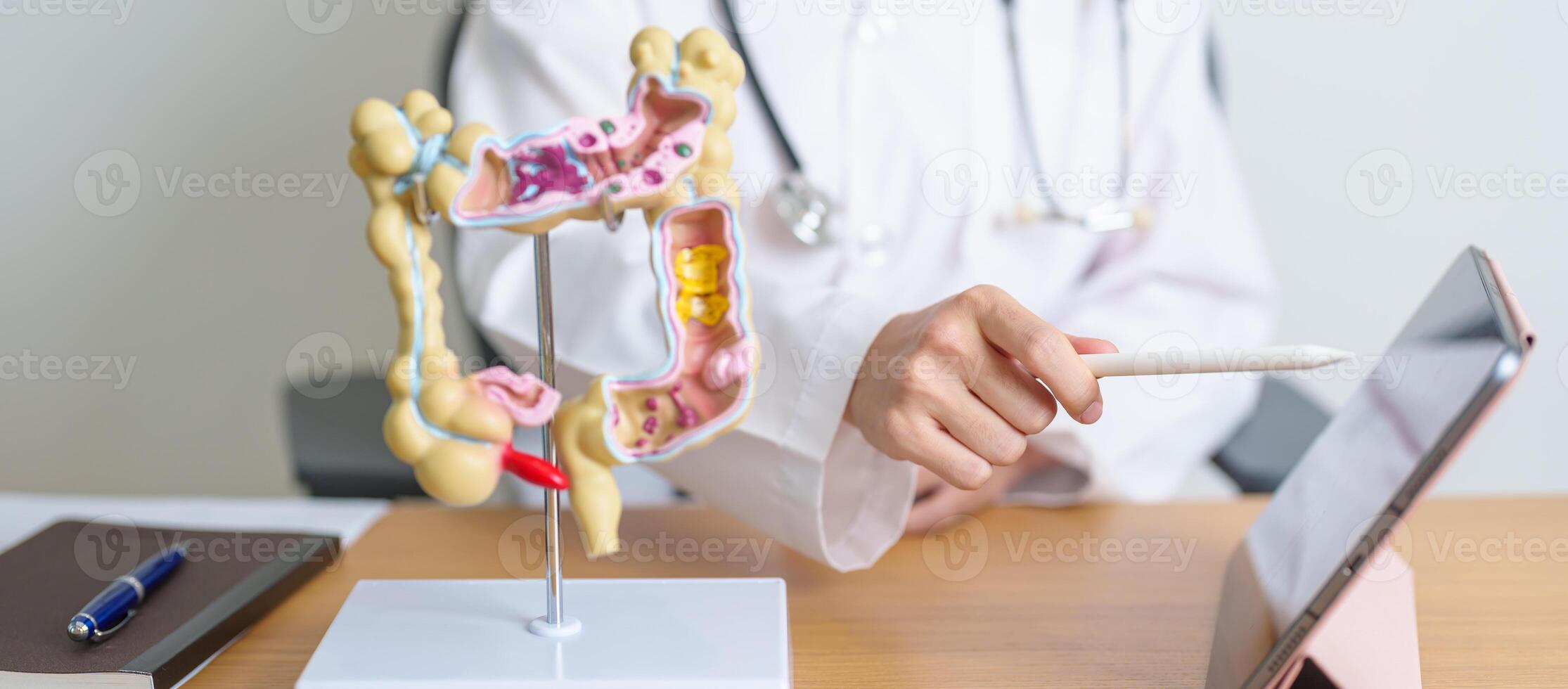 Doctor with human Colon anatomy model and tablet. Colonic disease, Large Intestine, Colorectal cancer, Ulcerative colitis, Diverticulitis, Irritable bowel syndrome and Digestive system photo
