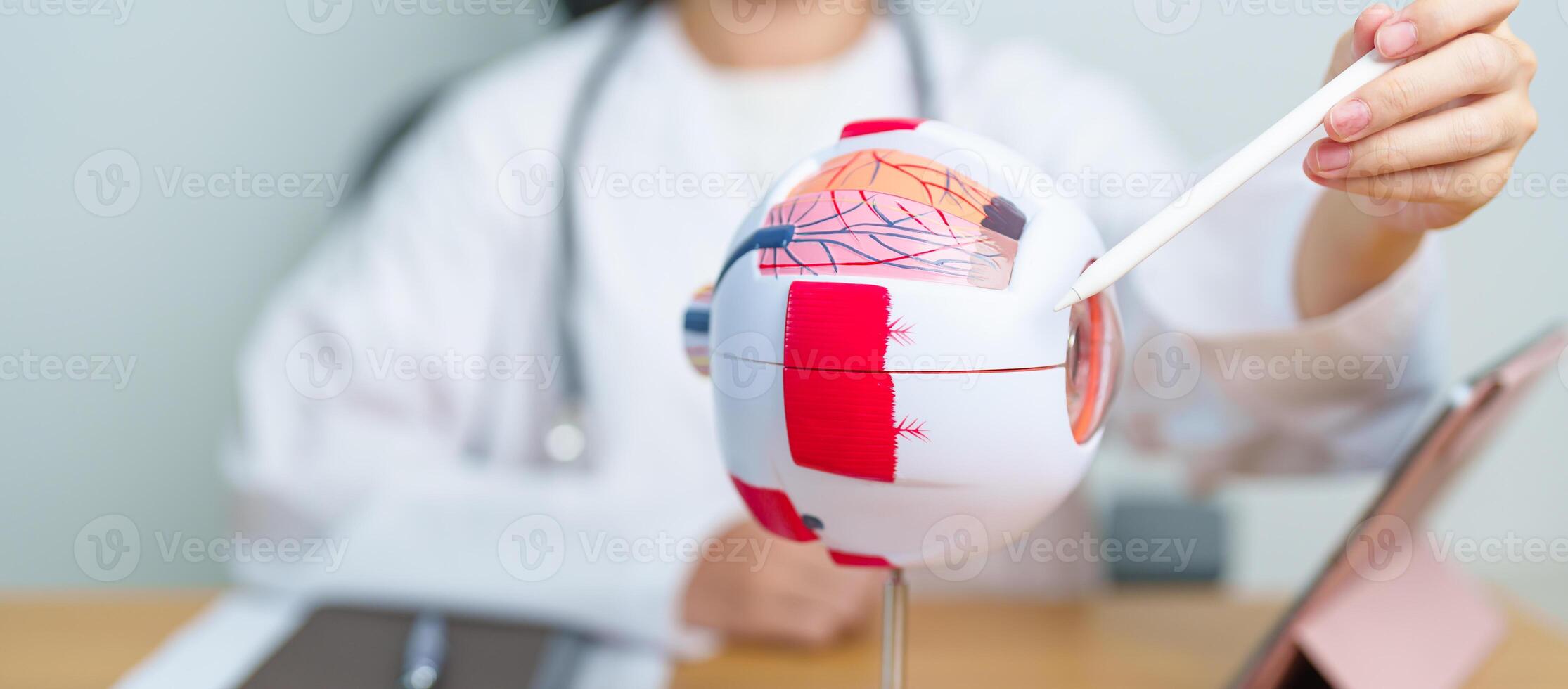 Doctor with human Eye anatomy model with magnifying glass. Eye disease, Refractive Errors, Age Related Macular Degeneration, Cataract, Diabetic Retinopathy, Glaucoma, Amblyopia, Strabismus and Health photo