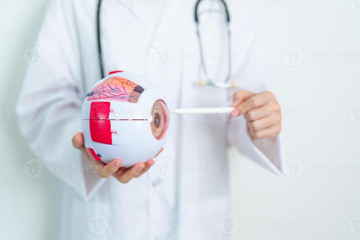 Doctor with human Eye anatomy model with magnifying glass. Eye disease, Refractive Errors, Age Related Macular Degeneration, Cataract, Diabetic Retinopathy, Glaucoma, Amblyopia, Strabismus and Health photo