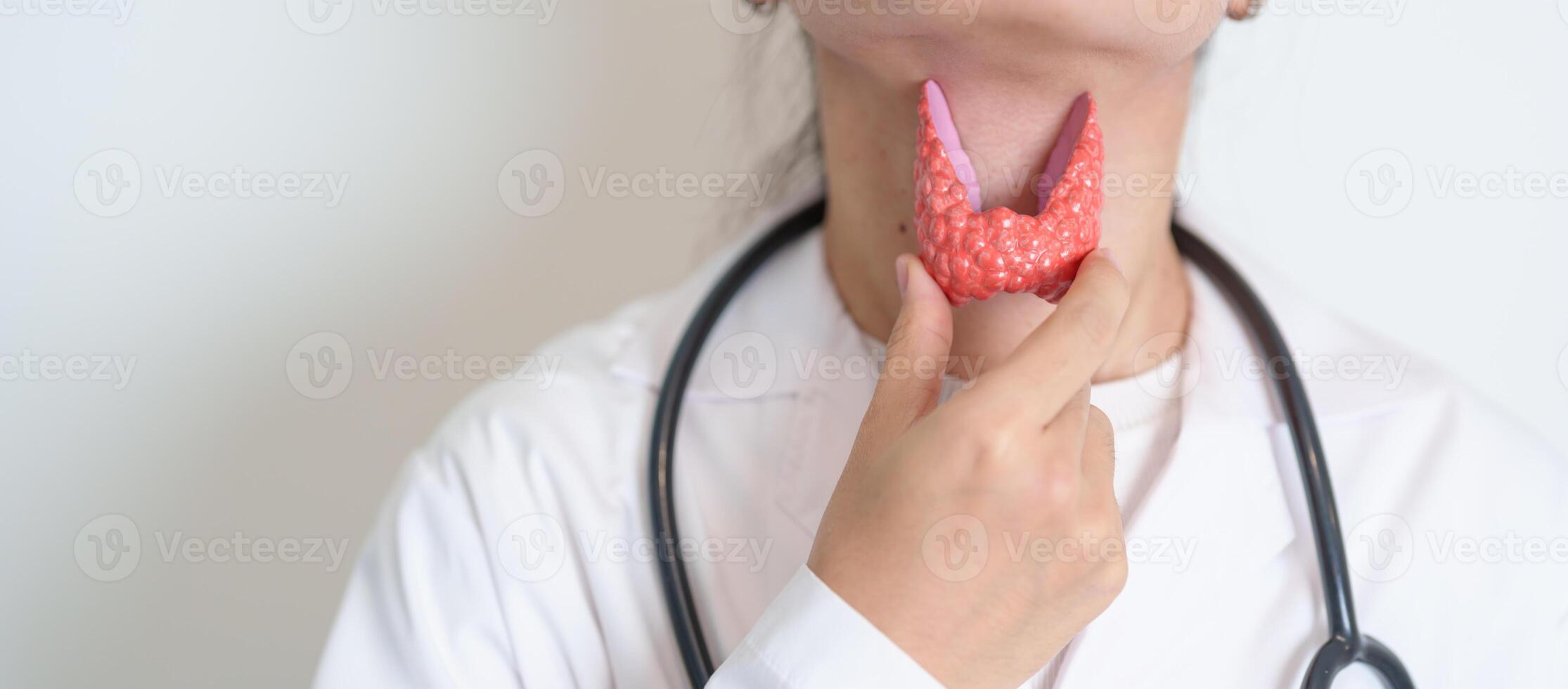 Doctor with human Thyroid anatomy model. Hyperthyroidism, Hypothyroidism, Hashimoto Thyroiditis, Thyroid Tumor and Cancer, Postpartum, Papillary Carcinoma and Health concept photo
