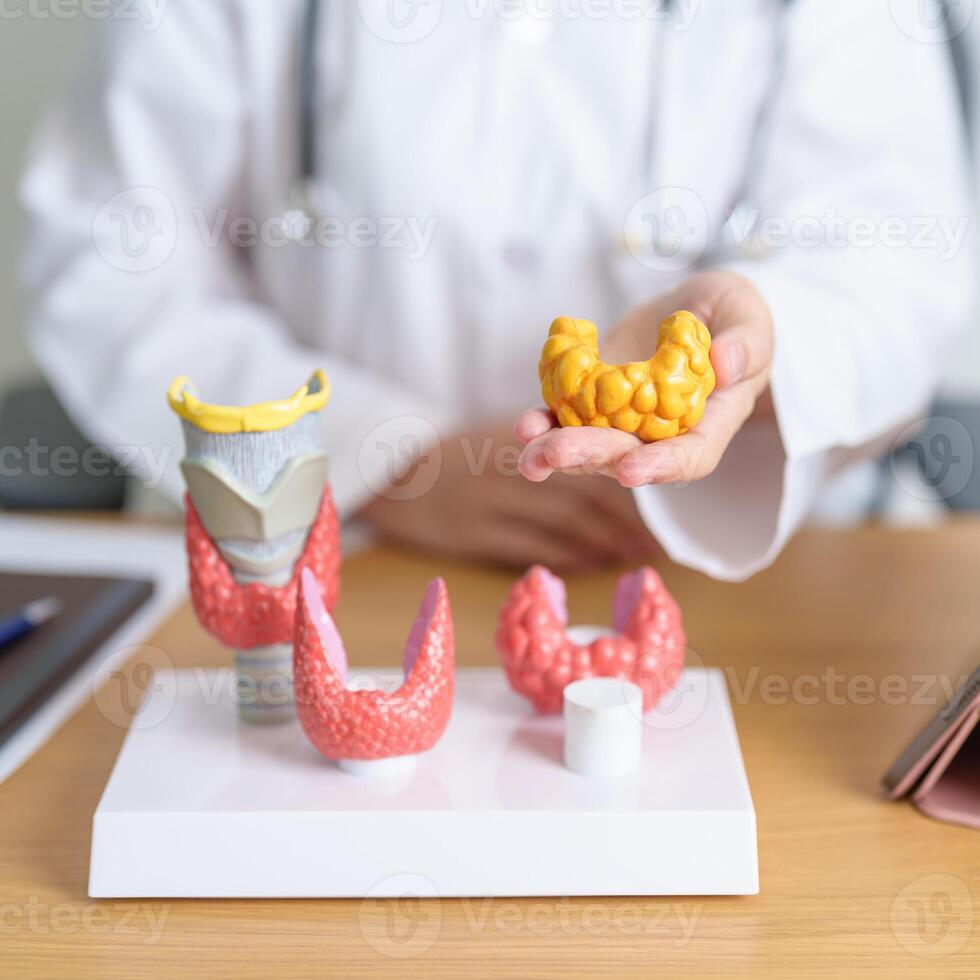 Doctor with human Thyroid anatomy model and tablet. Hyperthyroidism, Hypothyroidism, Hashimoto Thyroiditis, Thyroid Tumor and Cancer, Postpartum, Papillary Carcinoma and Health concept photo