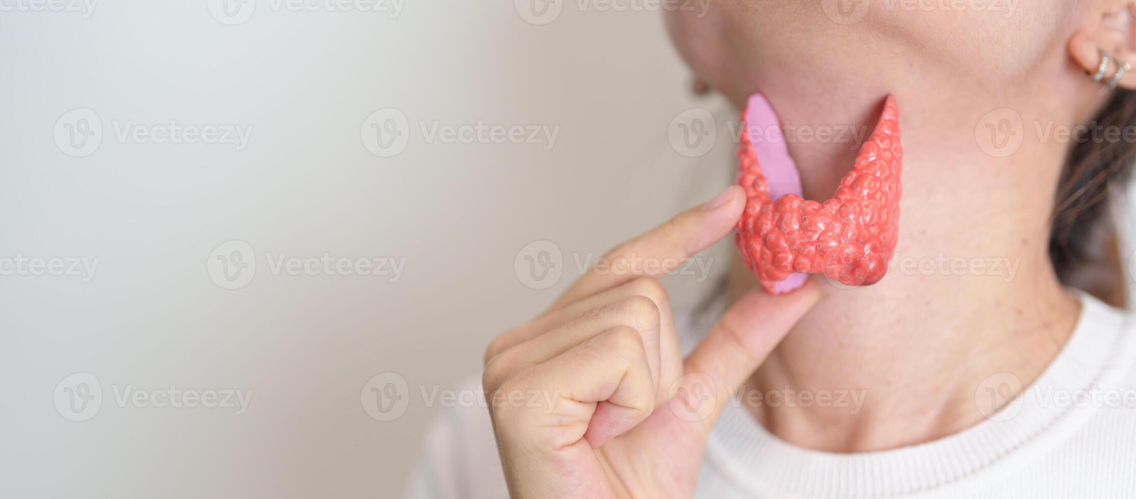 Woman holding human Thyroid anatomy model with her Neck. Hyperthyroidism, Hypothyroidism, Hashimoto Thyroiditis, Thyroid Tumor and Cancer, Postpartum, Papillary Carcinoma and Health concept photo