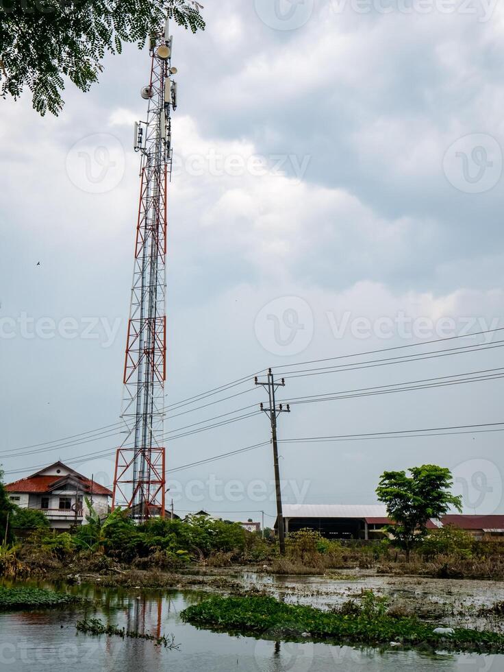 The internet provider's network tower is in the middle of a resident's rice field photo
