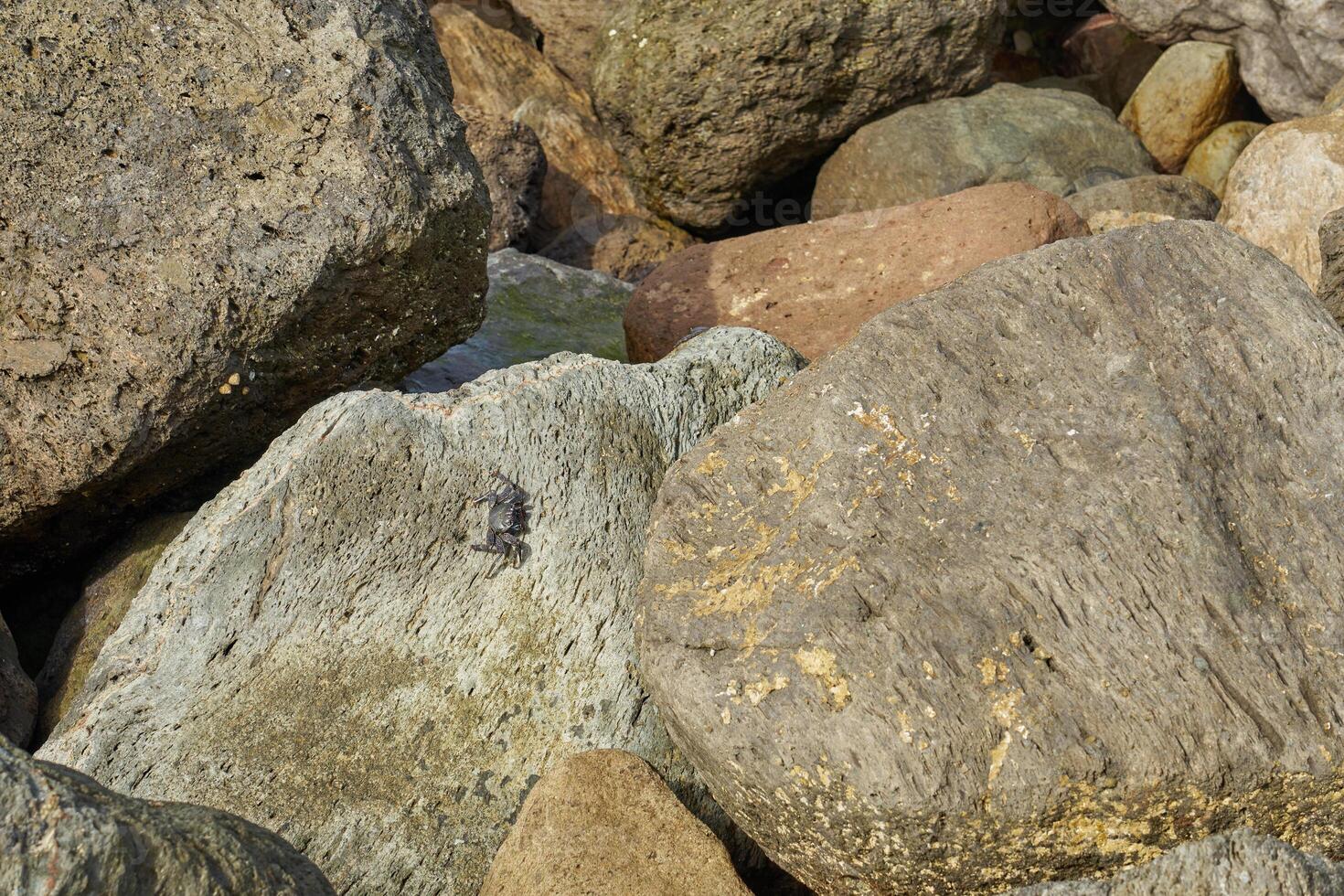 Rocks and stones on the shores of Gran Canaria photo