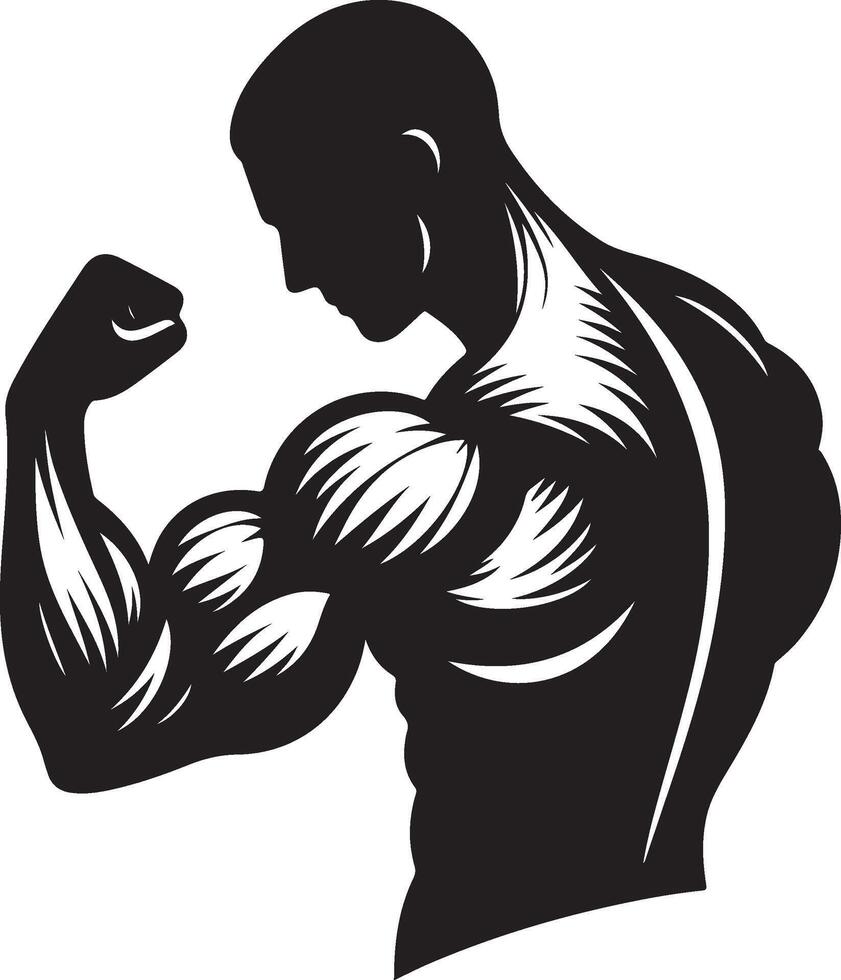muscle art illustration vector