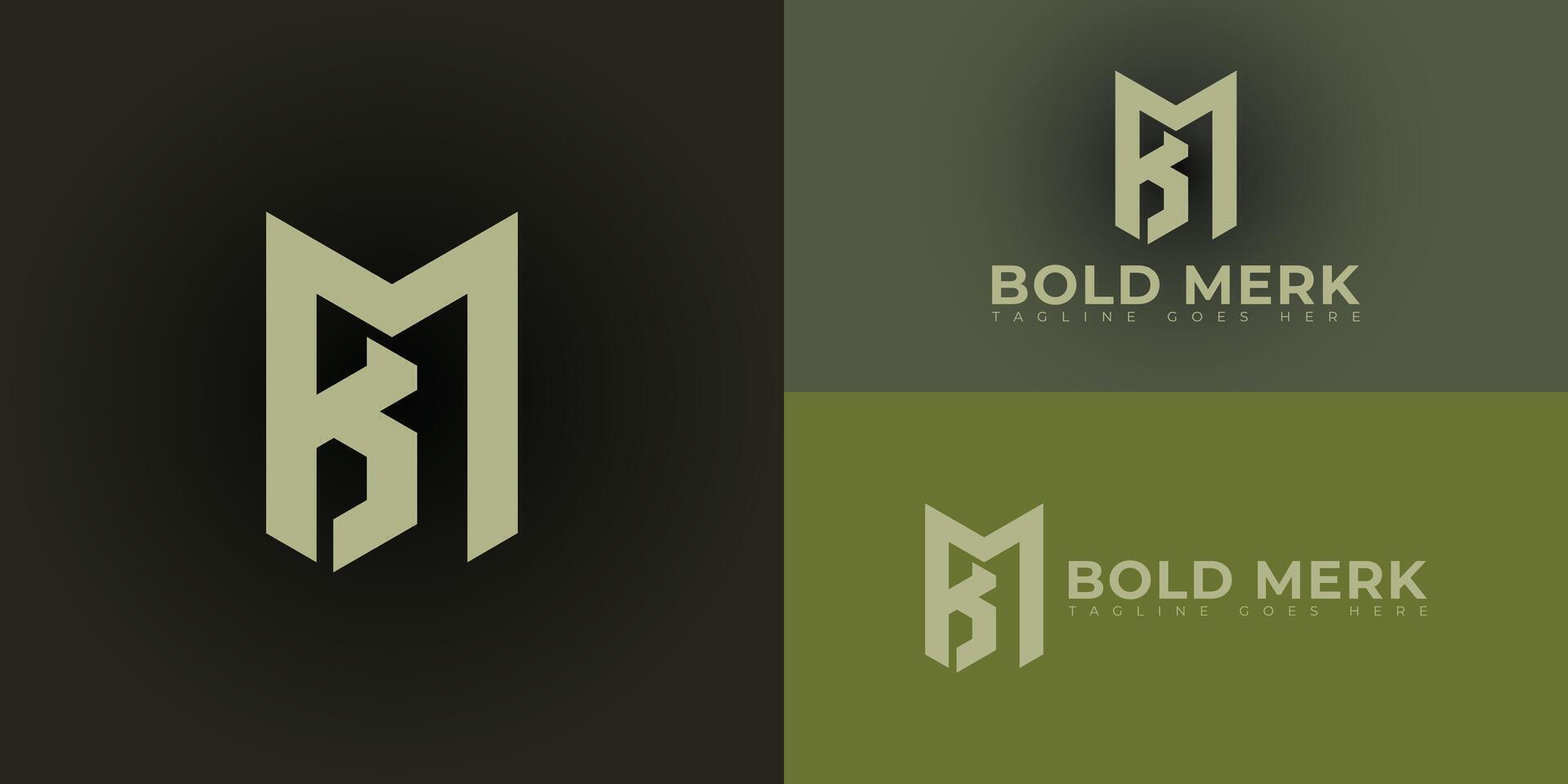 Abstract initial hexagon letters BM or MB logo in soft green color isolated on multiple background colors. The logo is suitable for adventure brand logo design illustration inspiration template vector
