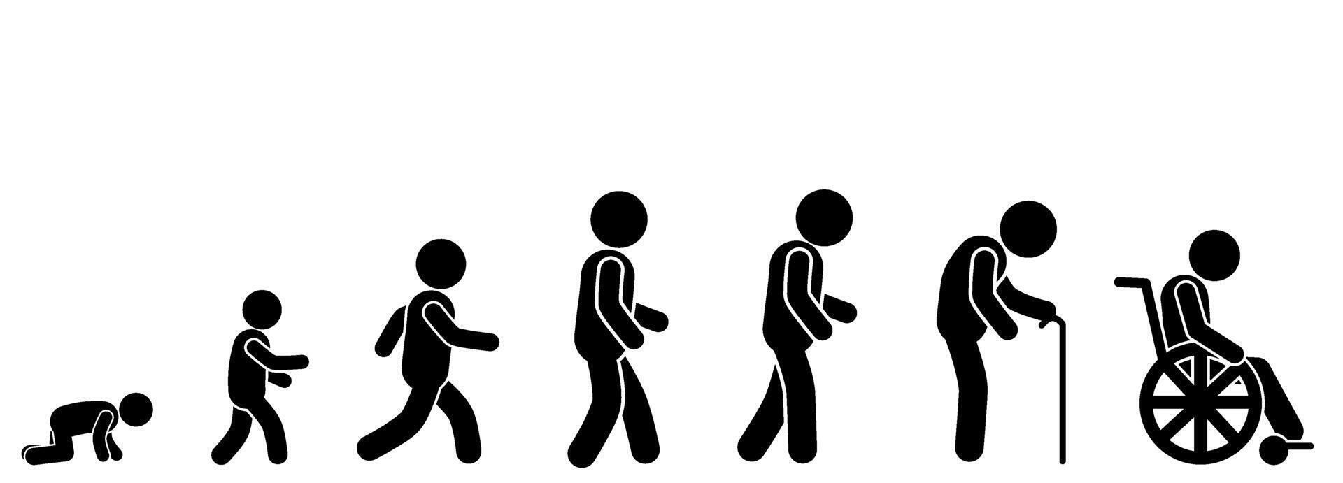 illustration of human transformation from childhood to old age vector