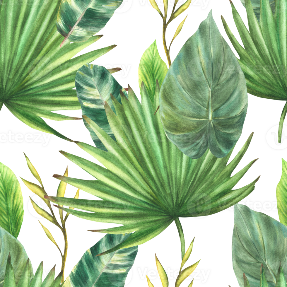Tropical leaves seamless pattern. Jungle plants, exotic green foliage. Floral watercolor hand drawn illustration Palm, creeper, Philodendron greenery. Summer repeating clipart on isolated background. png