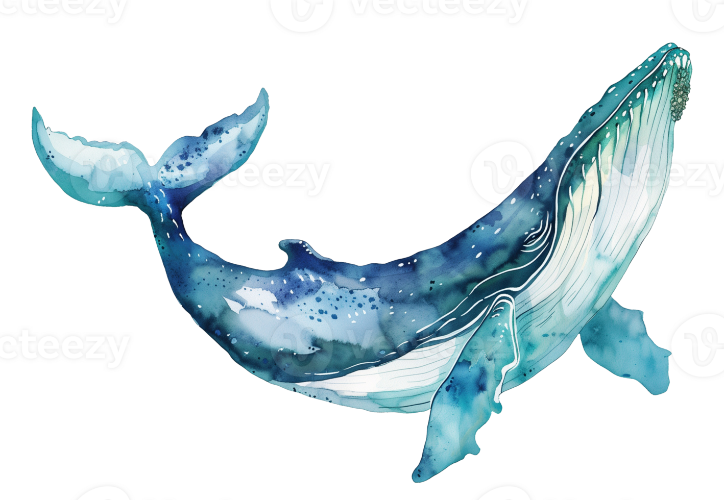 Watercolor Humpback Whale. Illustration of big marine animal. Drawing of sea Cetacean. Sketch of ocean Leviathan for prints in blue colors for prints and nautical design png