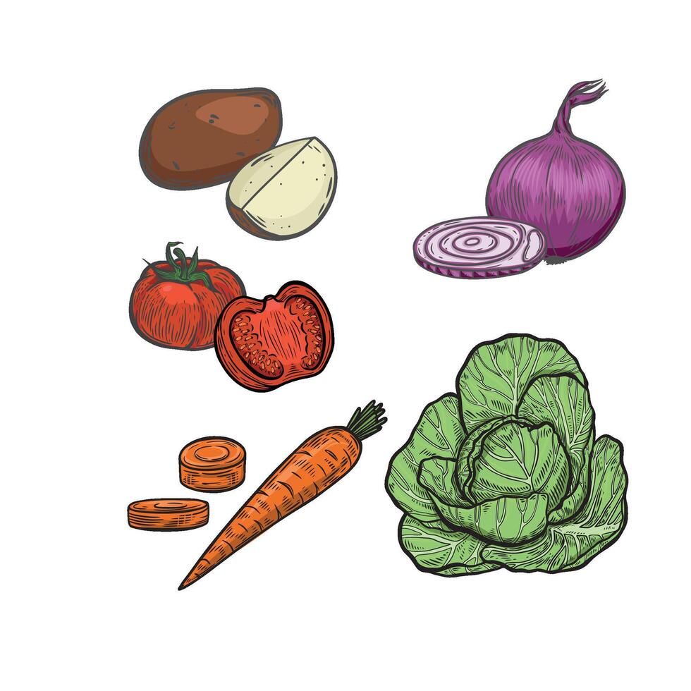 Vegetable collection line drawing isolated on white background. vector