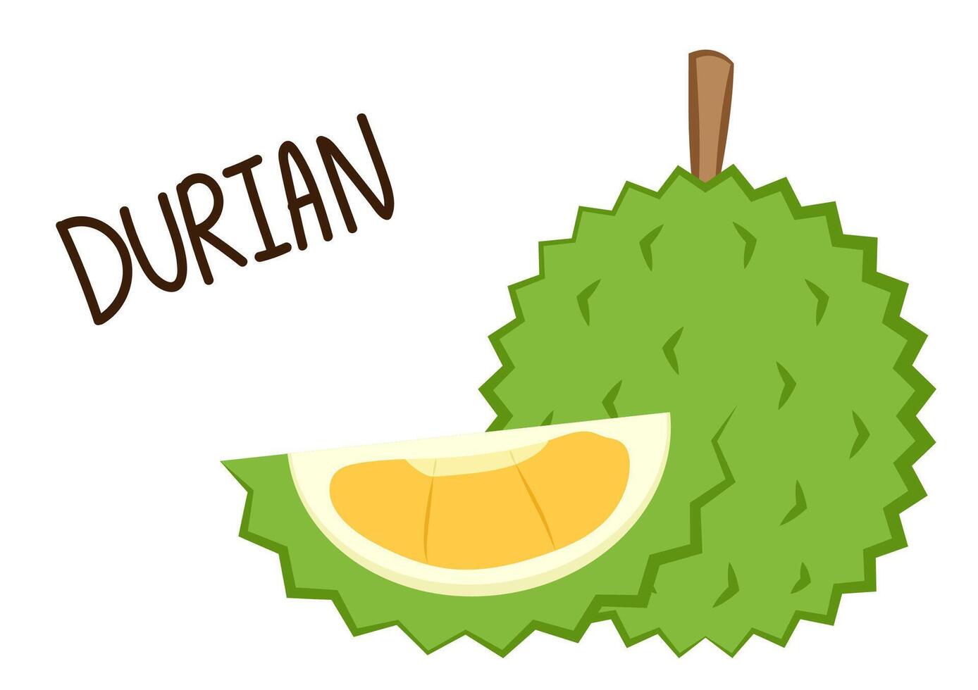 Durian cartoon . Durian on white background. Durian logo design. vector