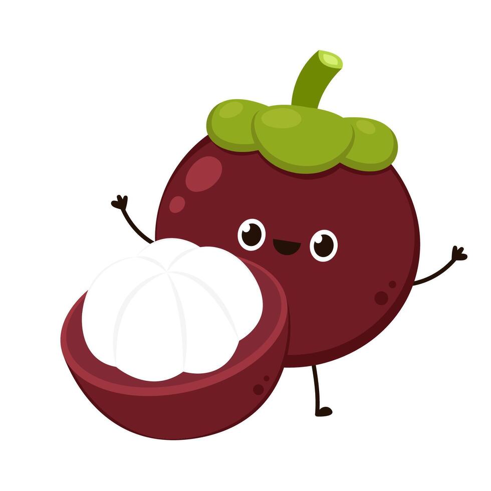 Mangosteen character design. Mangosteen on white background. vector