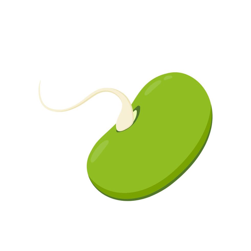 Mung Bean . Mung Bean on white background. vector