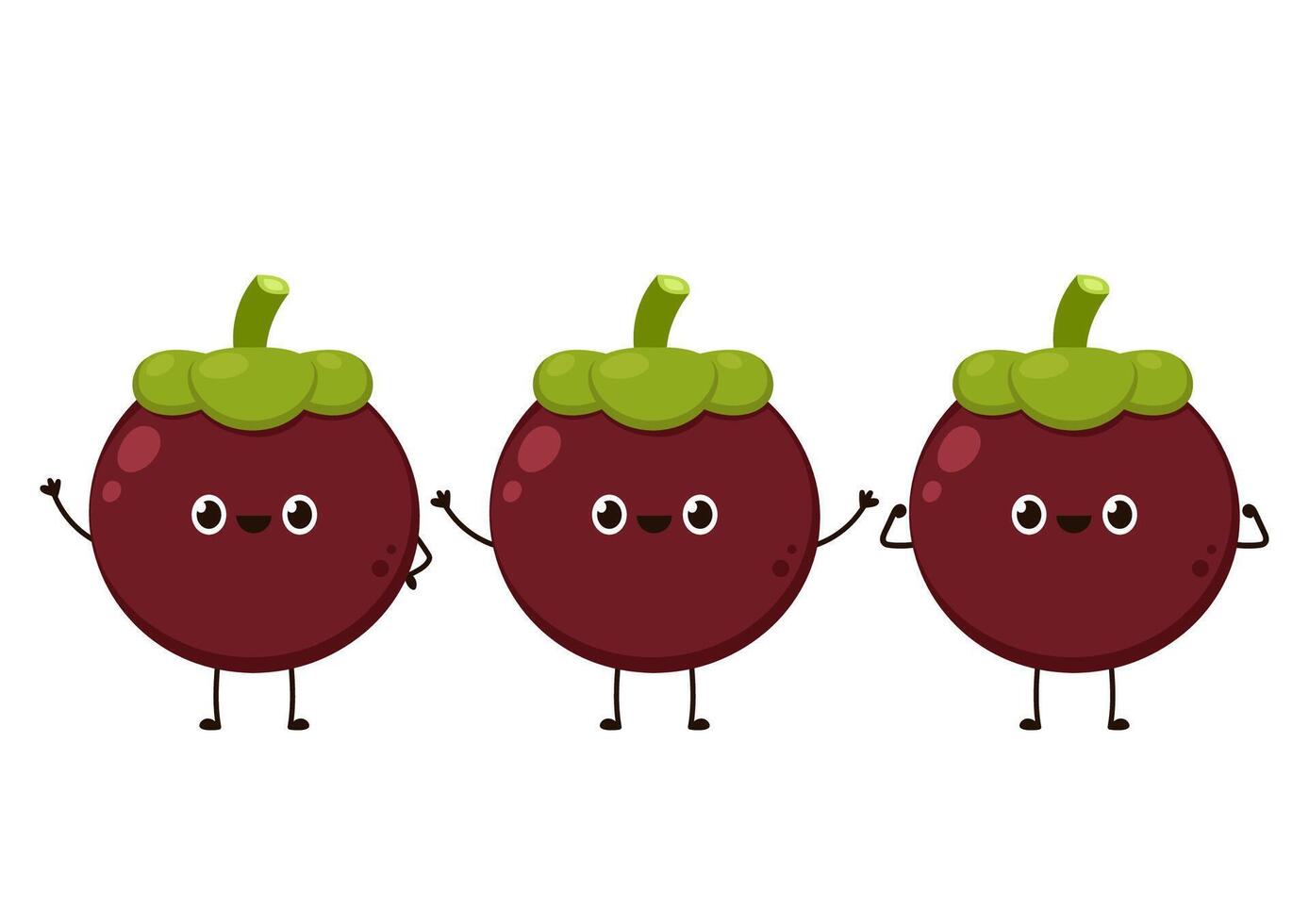 Mangosteen character design. Mangosteen on white background. vector