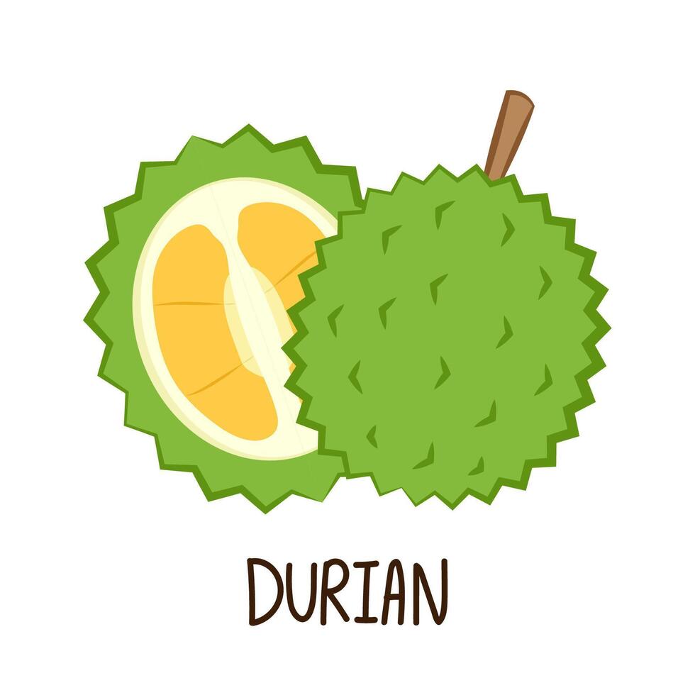 Durian cartoon . Durian on white background. Durian logo design. vector