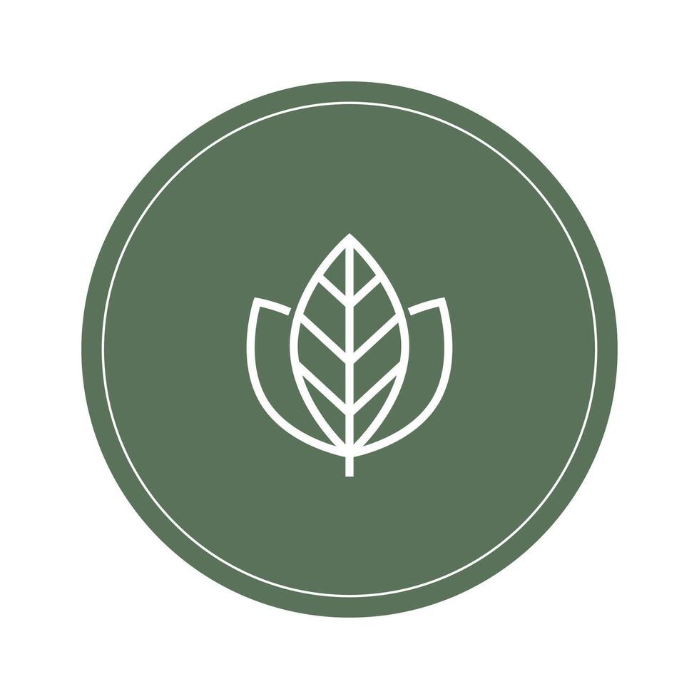 Leaf Pair Icon Illustrations on White Background. vector