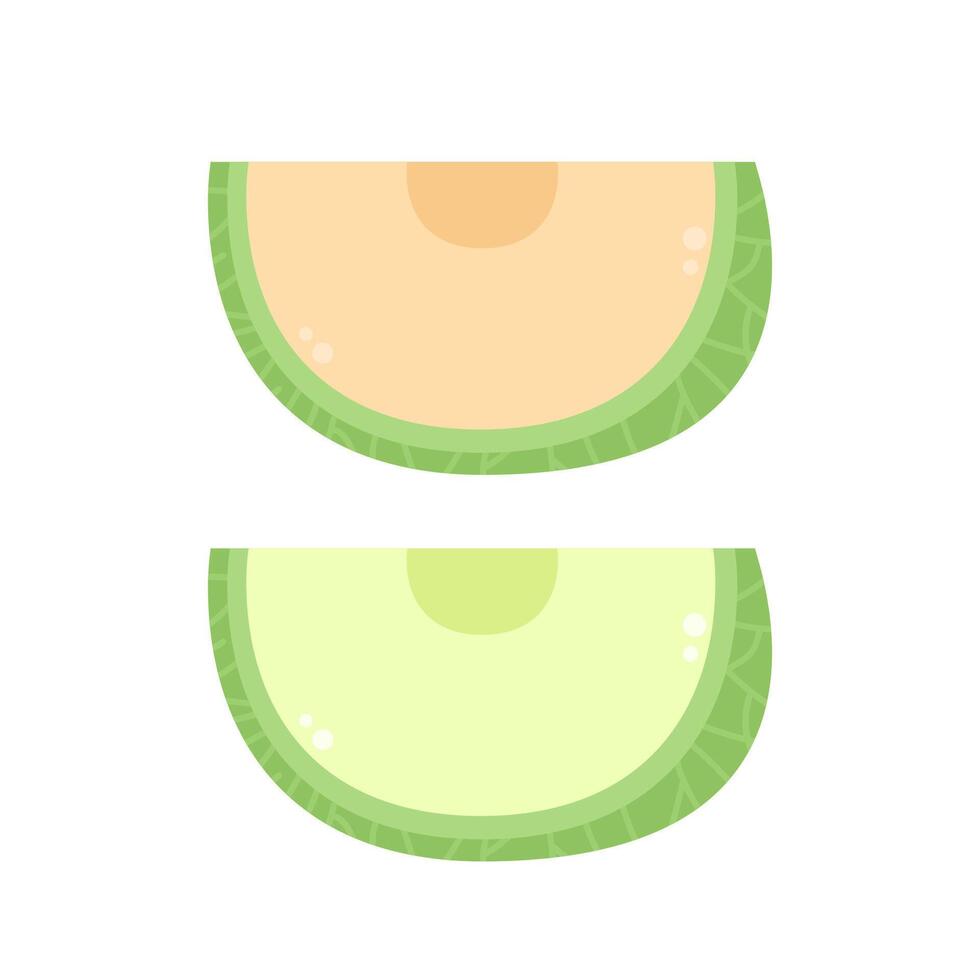 melon . melon on white background. wallpaper. free space for text. vector