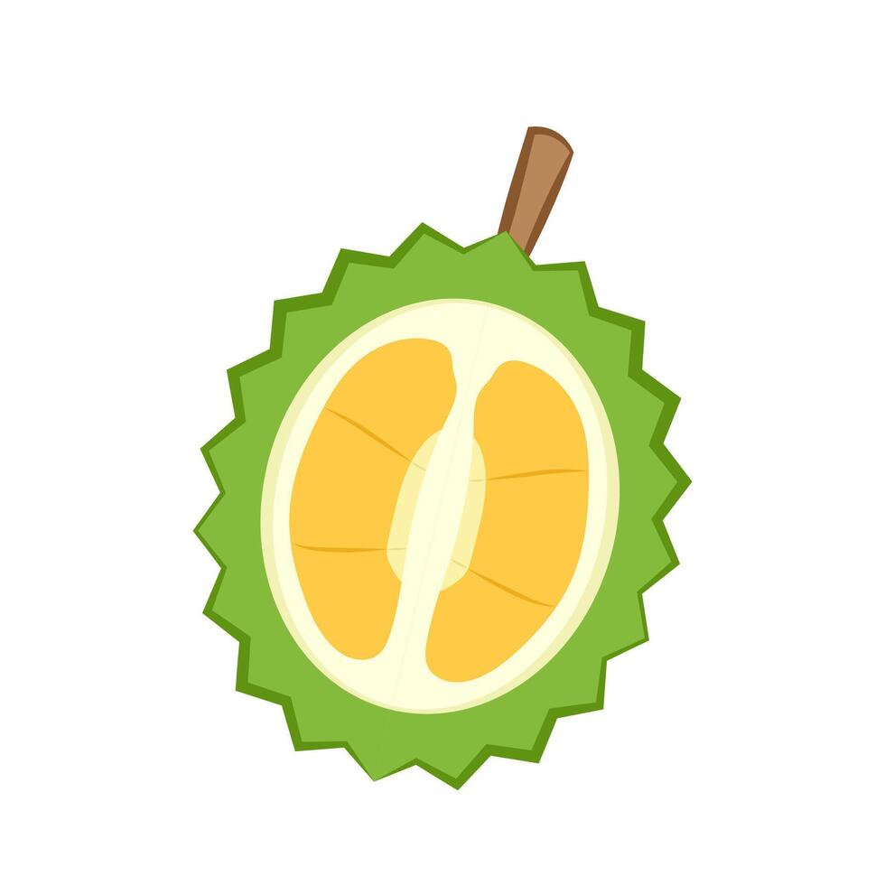 Durian cartoon . Durian on white background. Durian logo design. vector