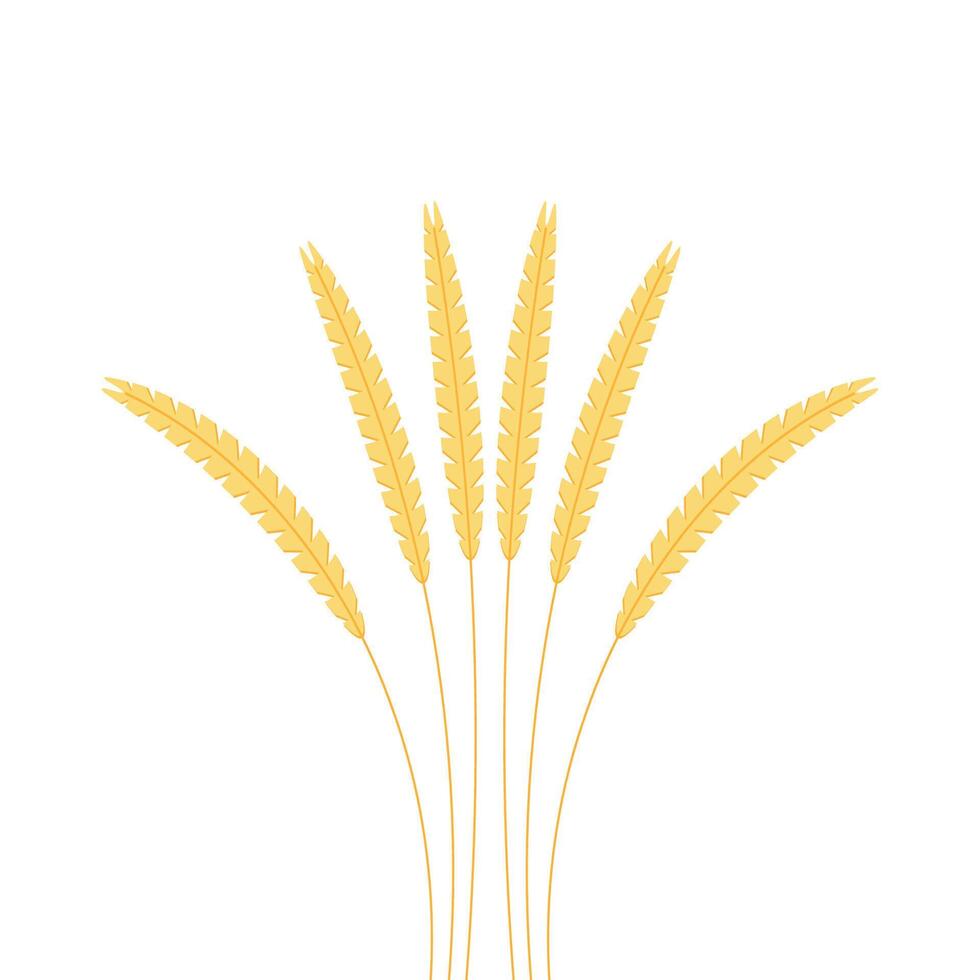Wheat pattern wallpaper. oat symbol. free space for text. rice sign. Rice pattern wallpaper. vector