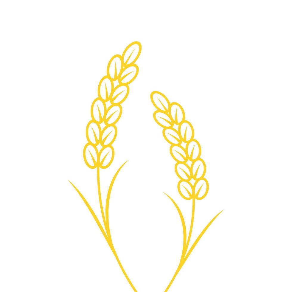 Rice symbol. Wheat symbol . wallpaper. logo design. Paddy . vector