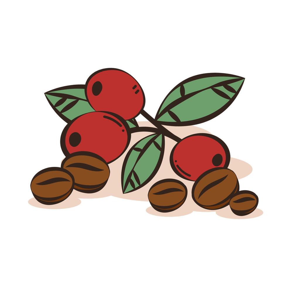 Coffee beans . Coffee beans on white background. free space for text. vector