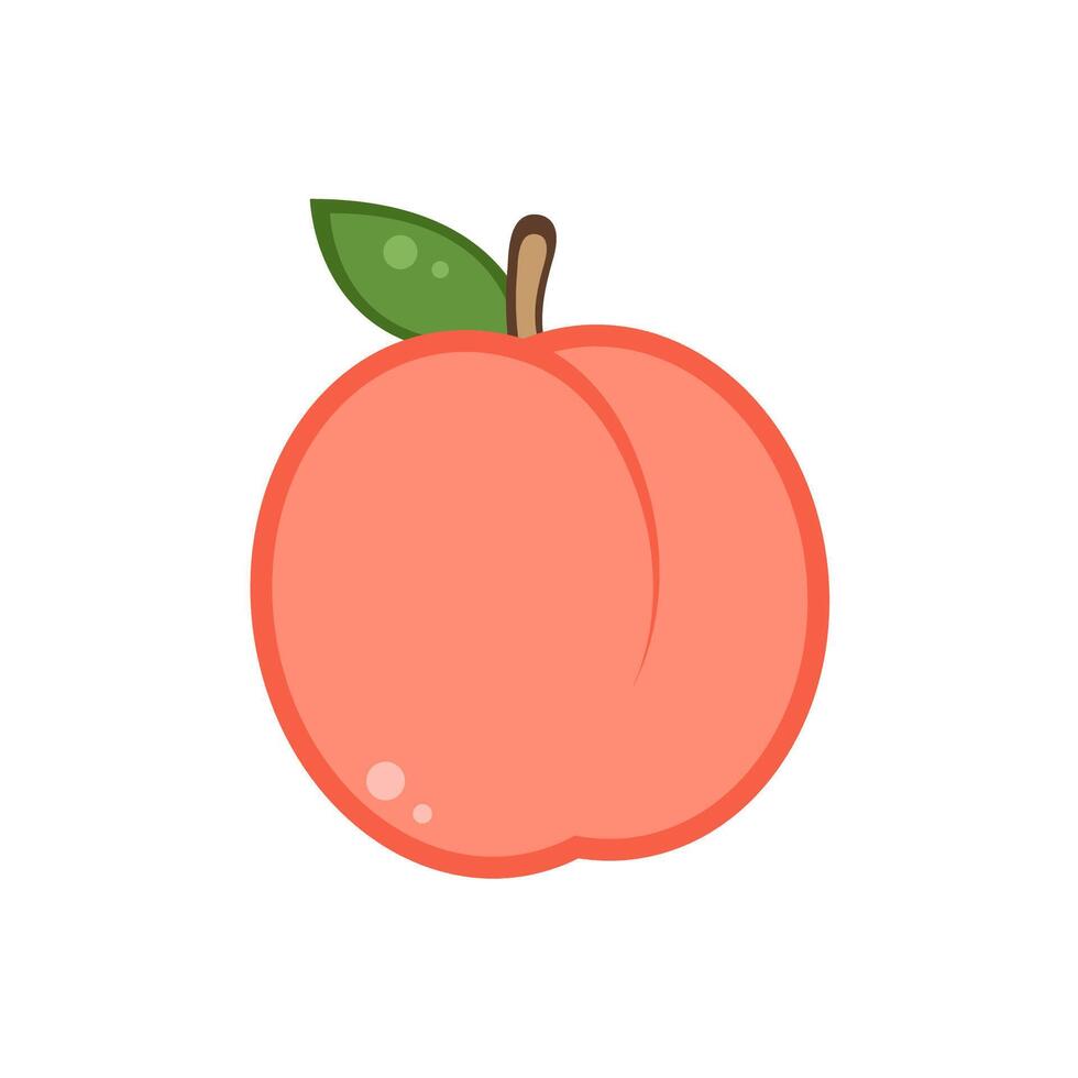 Peach . peach on white background. wallpaper. copy space. vector