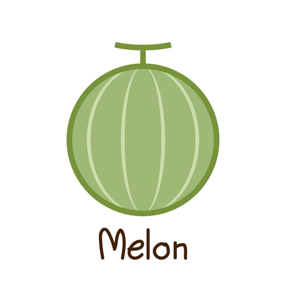 Melon logo . melon on white background. vector