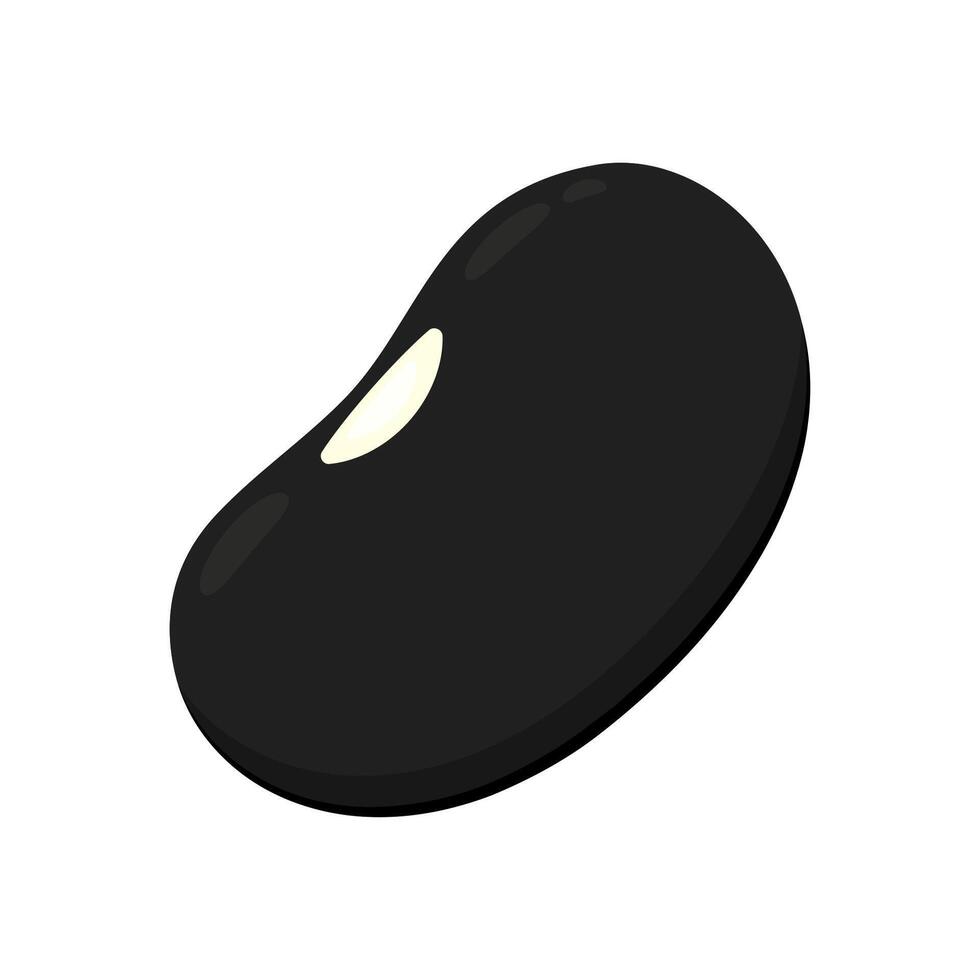 Black turtle bean . Black turtle bean on white background. vector