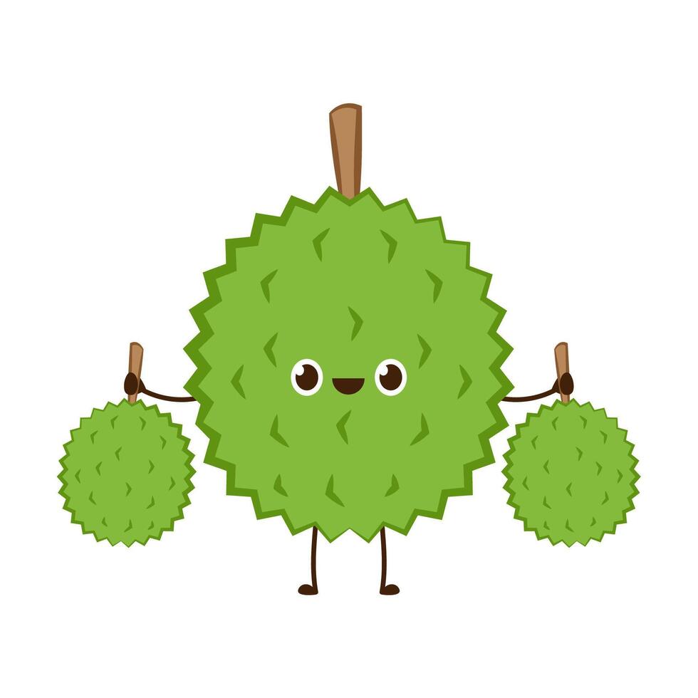 Durian character design. Durian on white background. Durian cartoon . vector