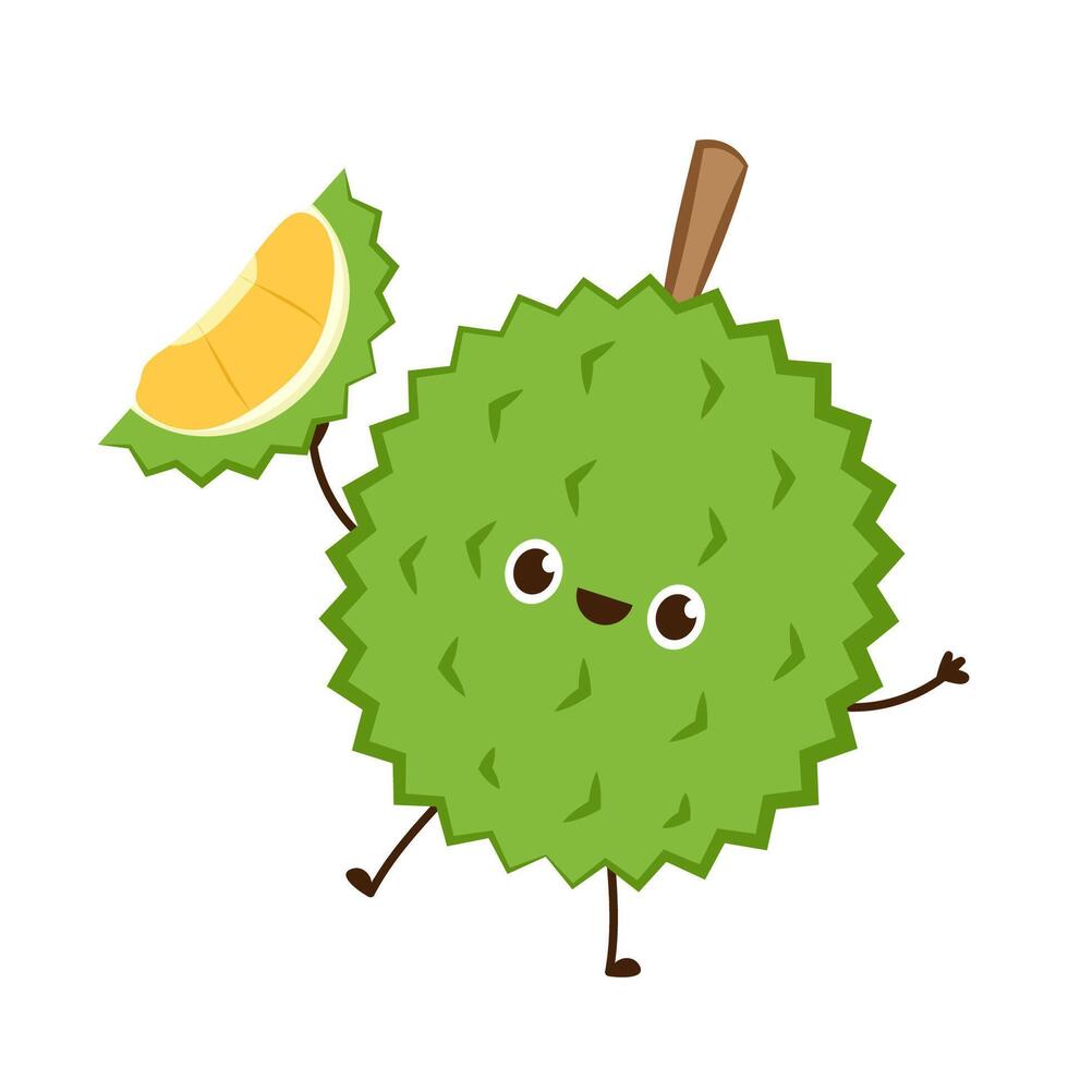 Durian character design. Durian on white background. Durian cartoon . vector