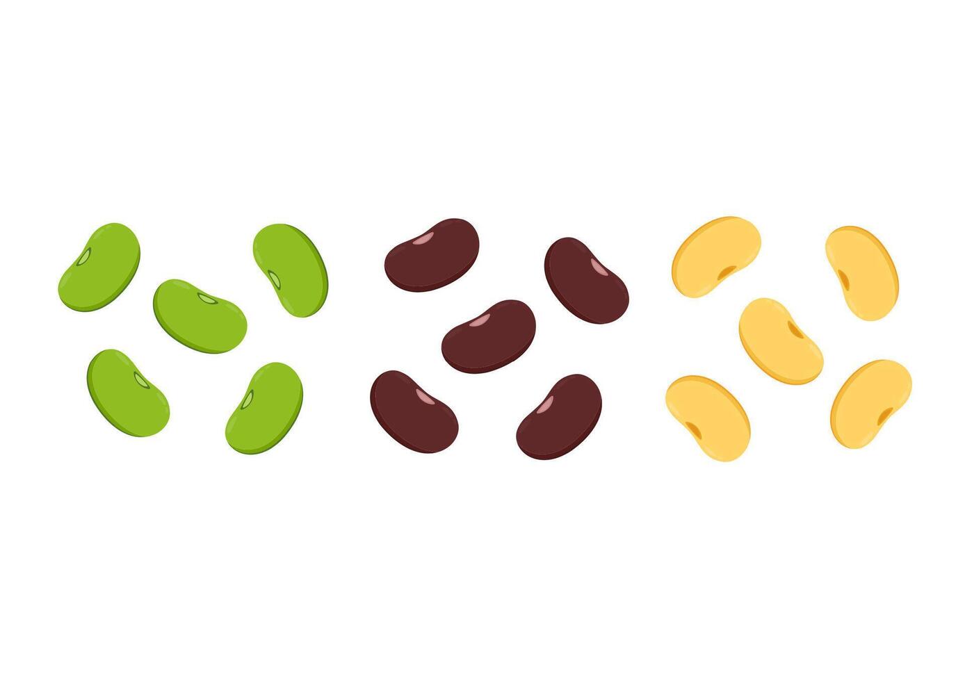 Mung bean, Kidney bean and Soy bean on white background. vector