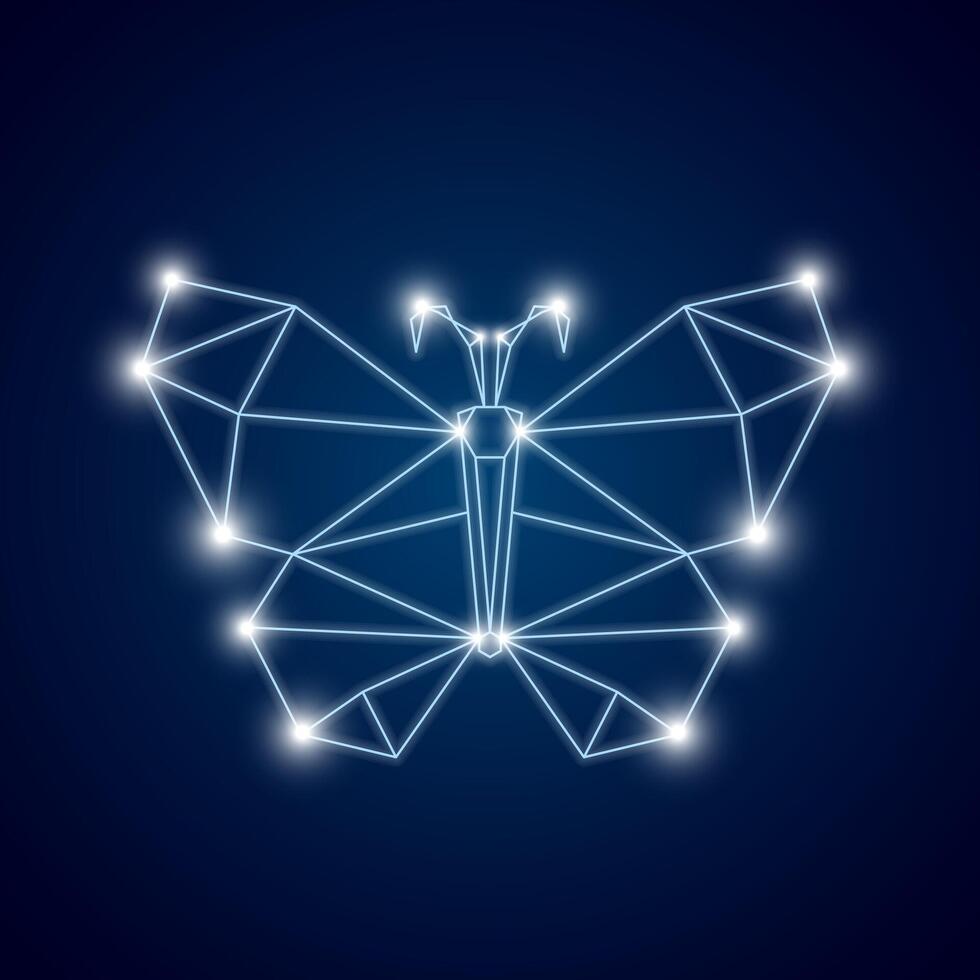 Butterfly constellation . Butterfly doodle symbol. Butterfly polygon. vector
