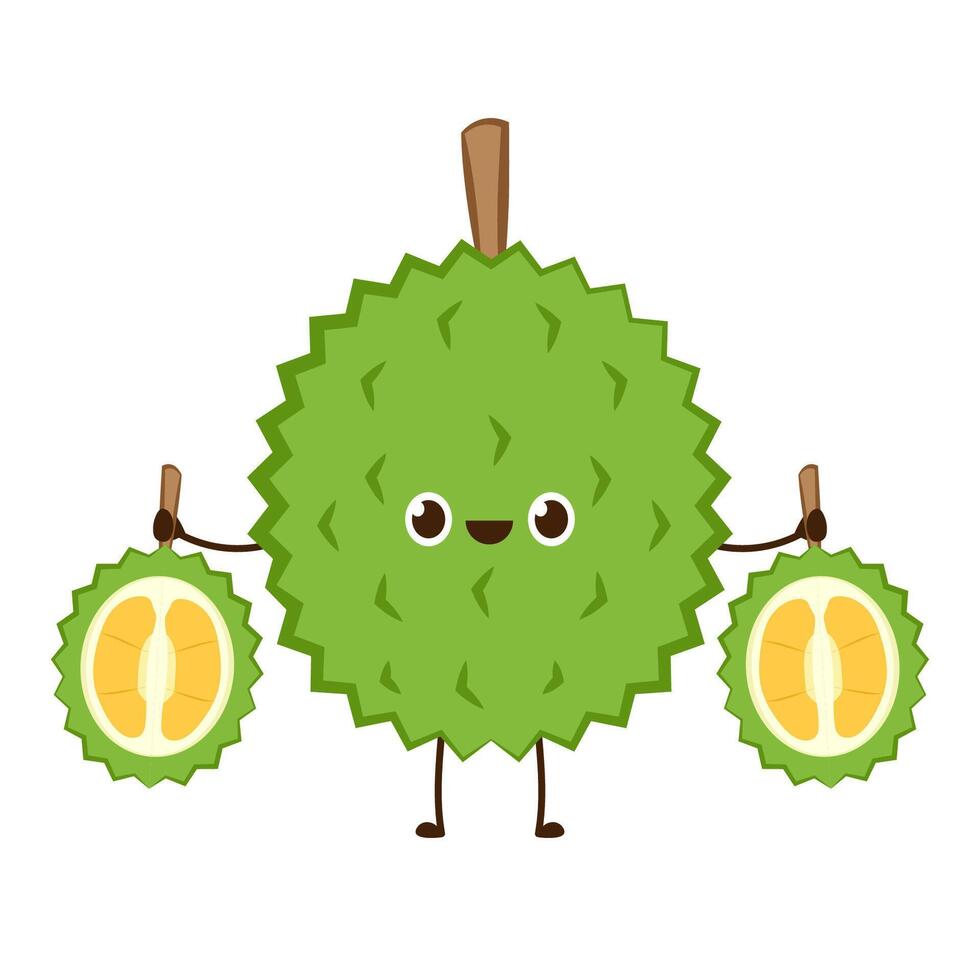 Durian character design. Durian on white background. Durian cartoon . vector