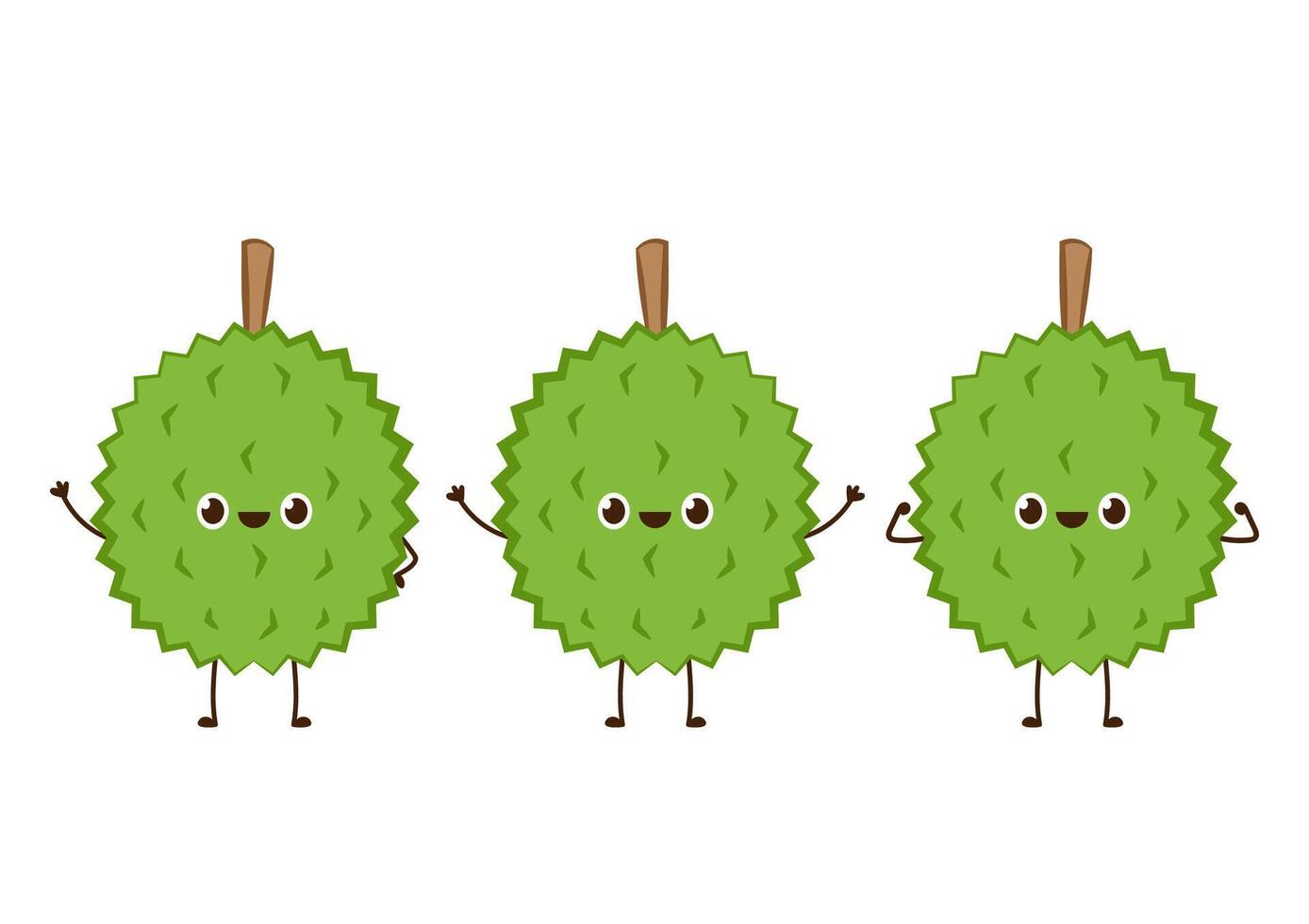 Durian character design. Durian on white background. Durian cartoon . vector