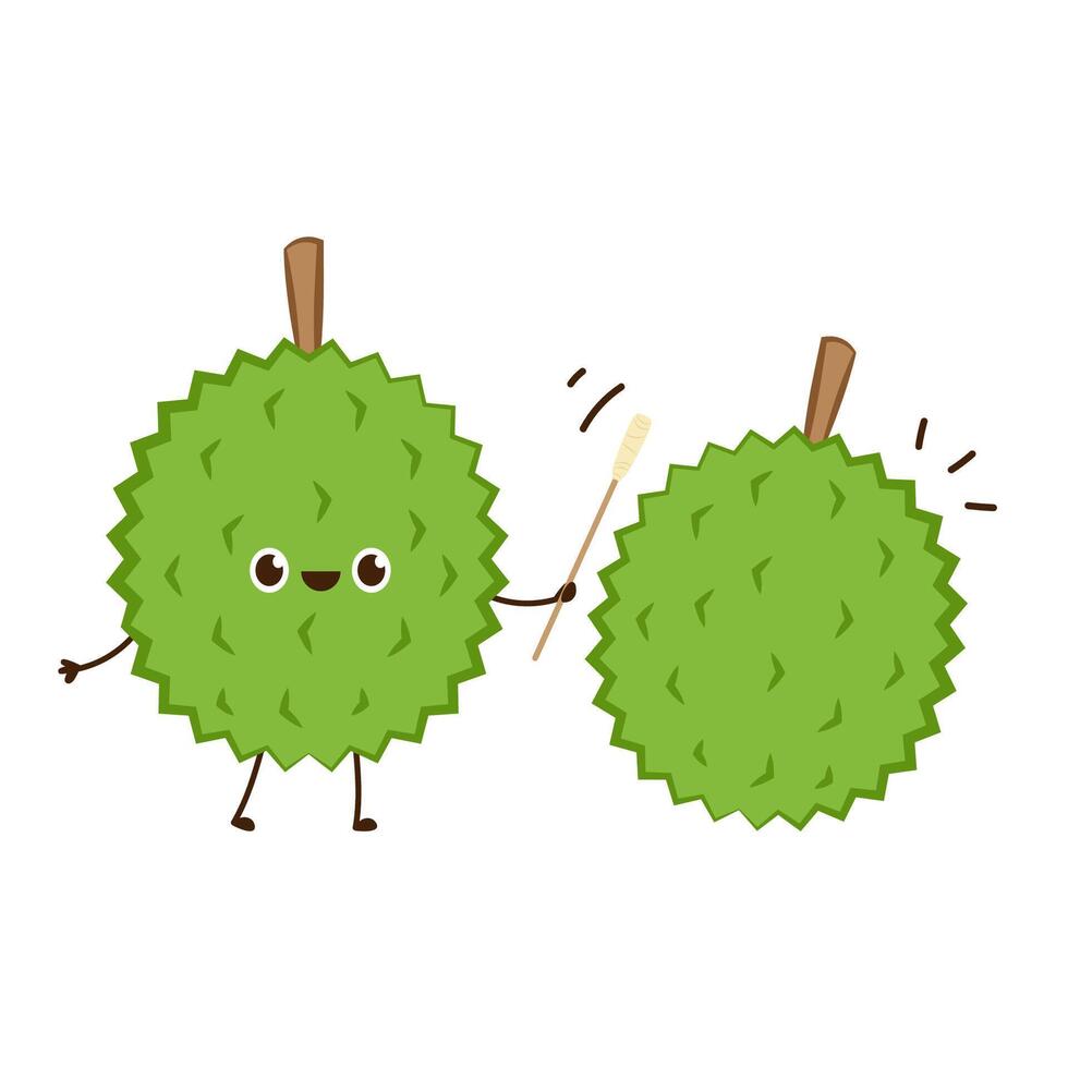 Durian character design. Durian on white background. Durian cartoon . vector