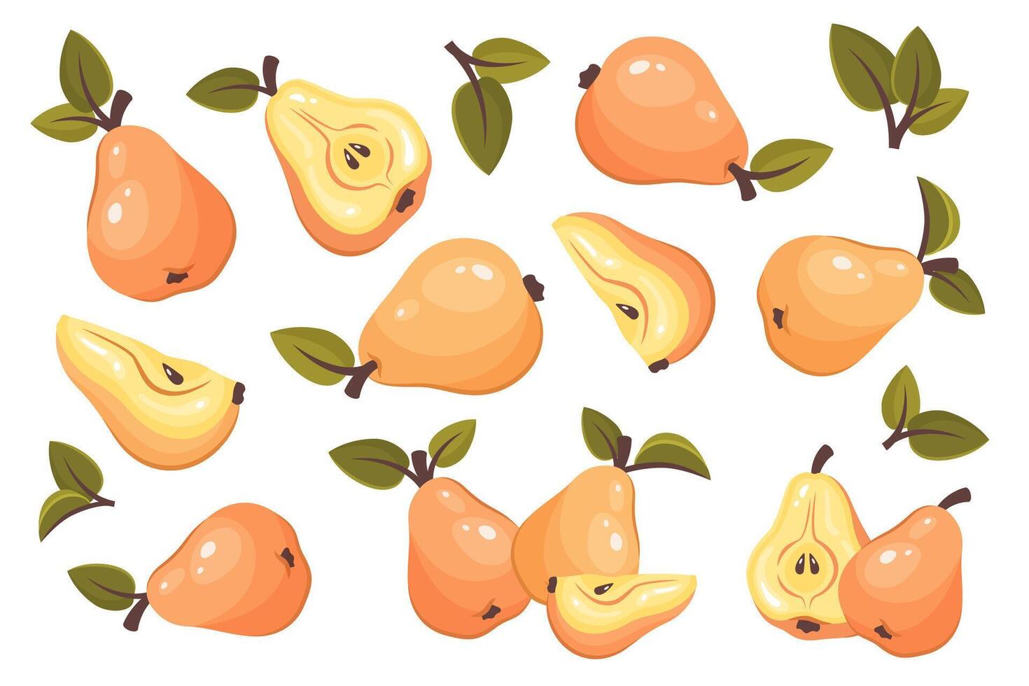 Set of whole, half and pear slice solated on white background. Fresh ripe fruit with leaves. Pear top view. Healthy vegetarian organic food. illustration for healthy lifestyle, good nutrition vector