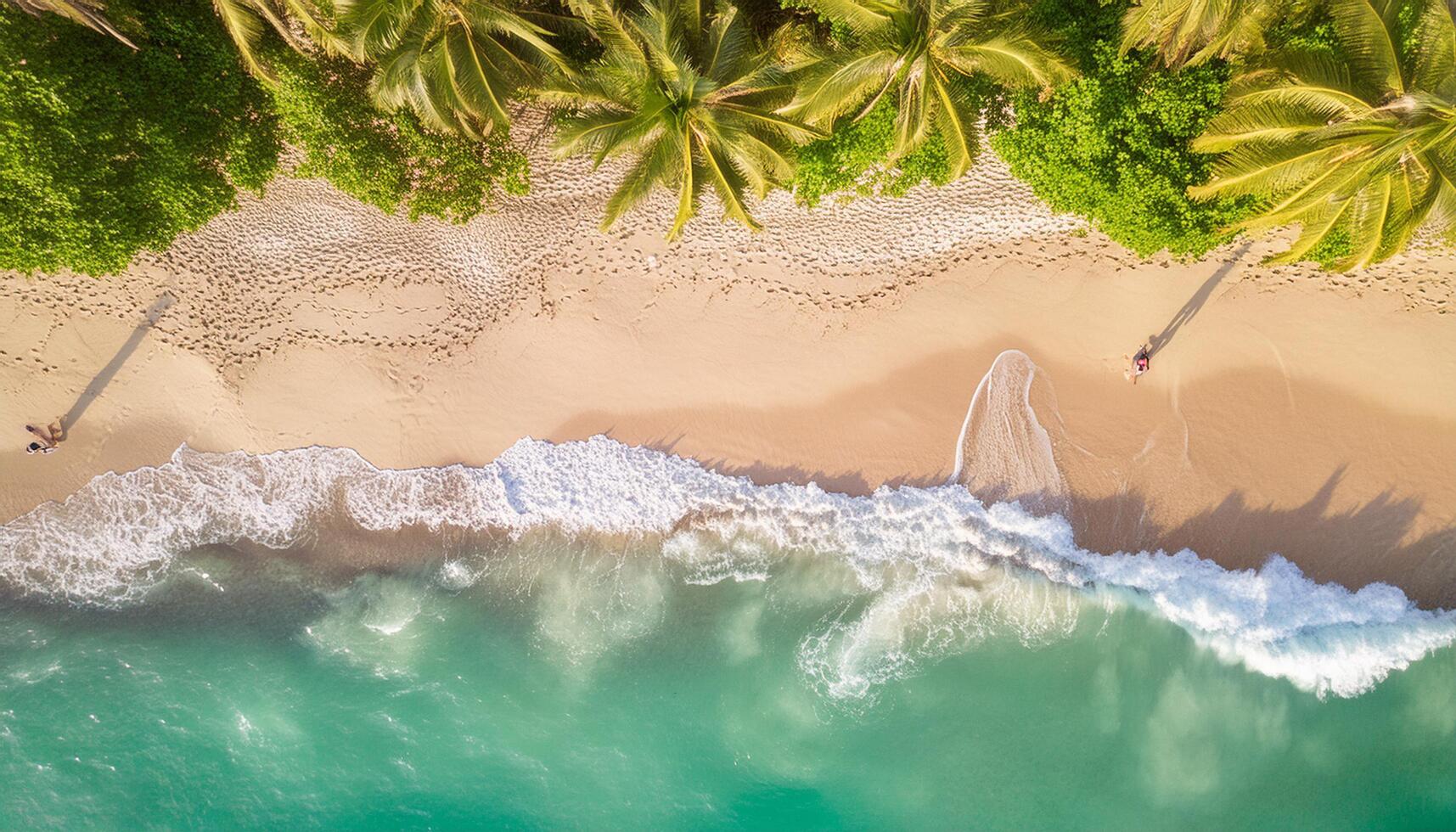 Overhead photo of crashing waves on the shoreline tropical beach