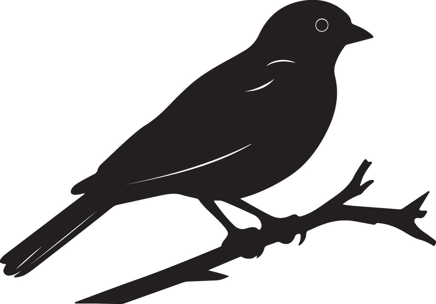 Nightjars Bird Silhouette Illustration White Background vector